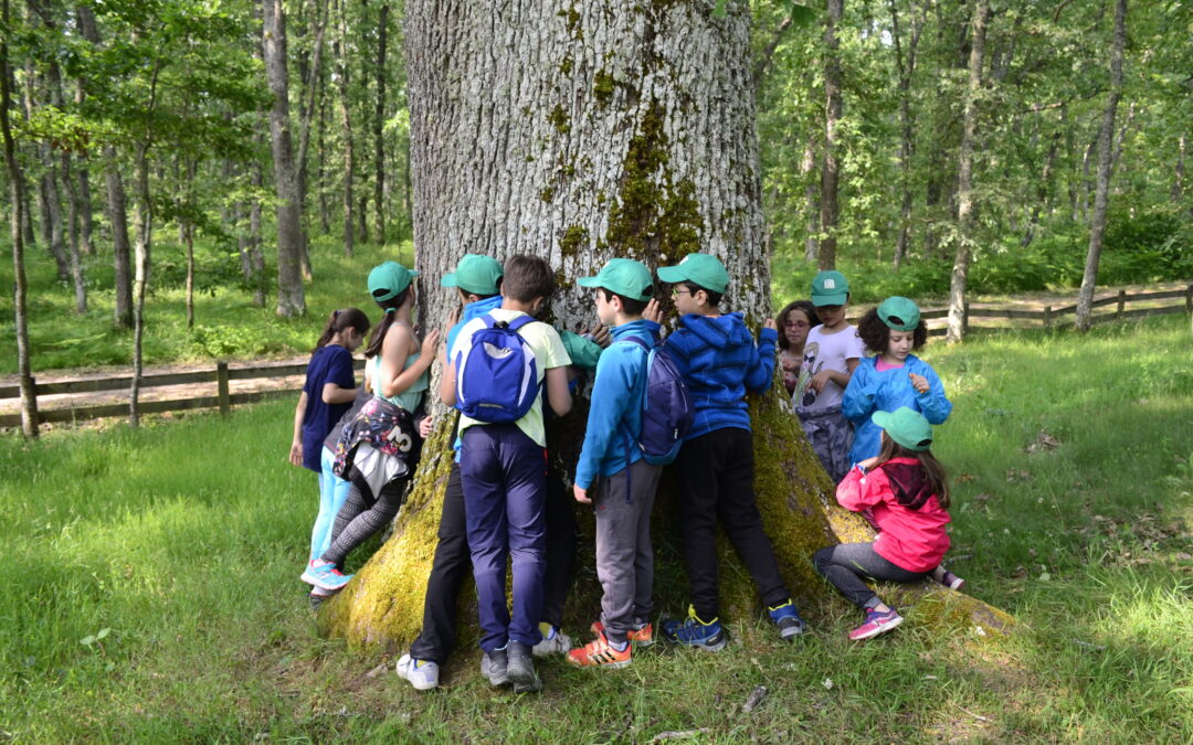 Atención del menor con diabetes en la escuela