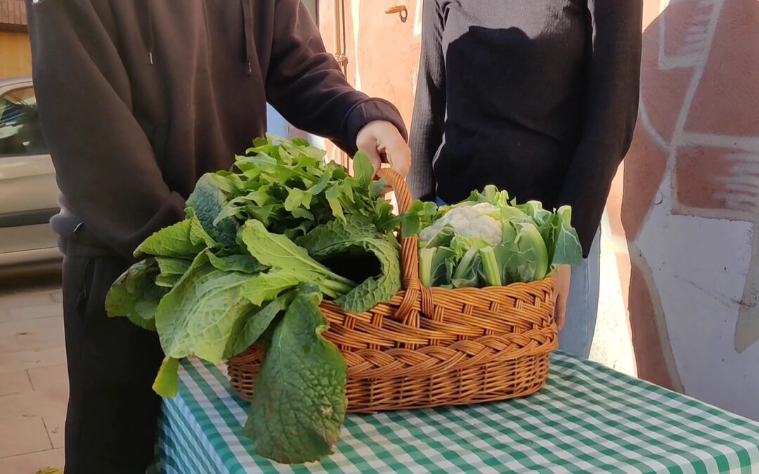 Cestas saludables: “Adopta un feo de Tudela”