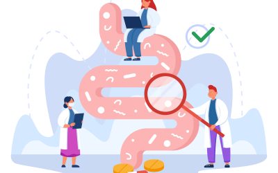 IMPACTO DE LA MICROBIOTA INTESTINAL EN LA DIABETES (2ª PARTE)